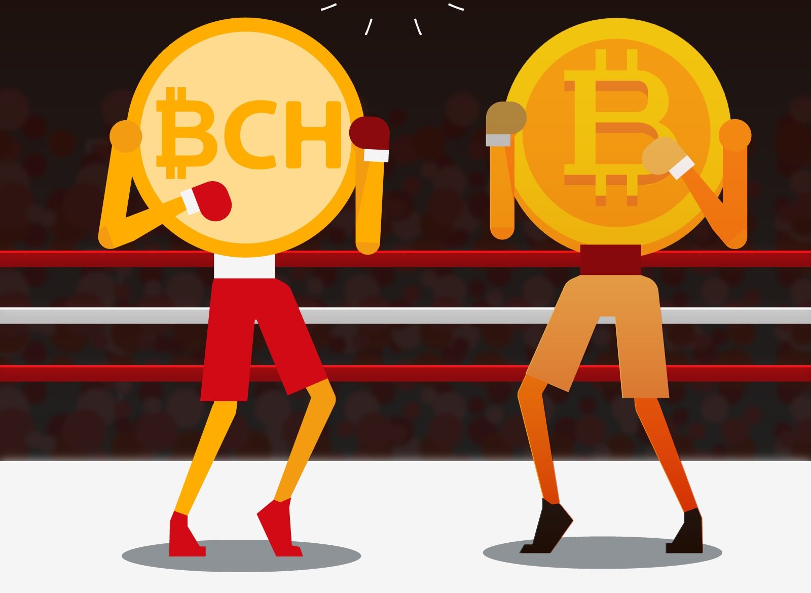 btc vs bch.jpeg