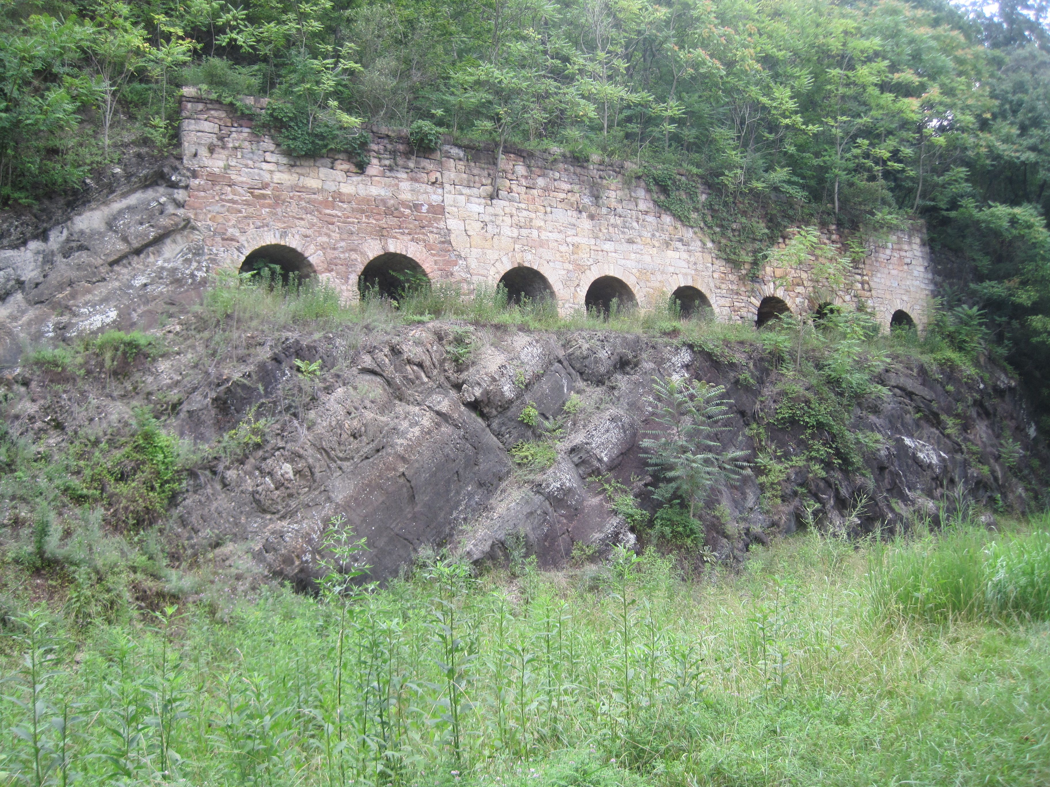 Canon PowerShot SD1200 IS271.JPG