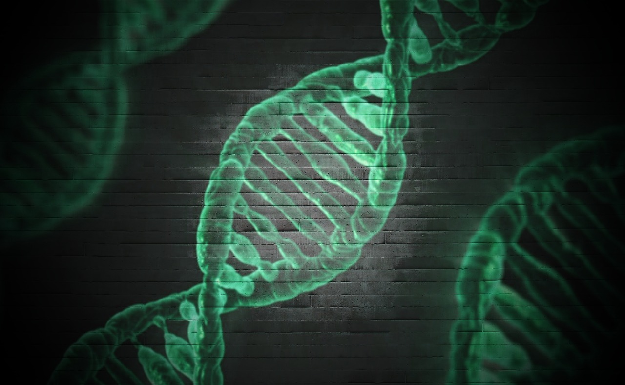 DNA helix.jpg