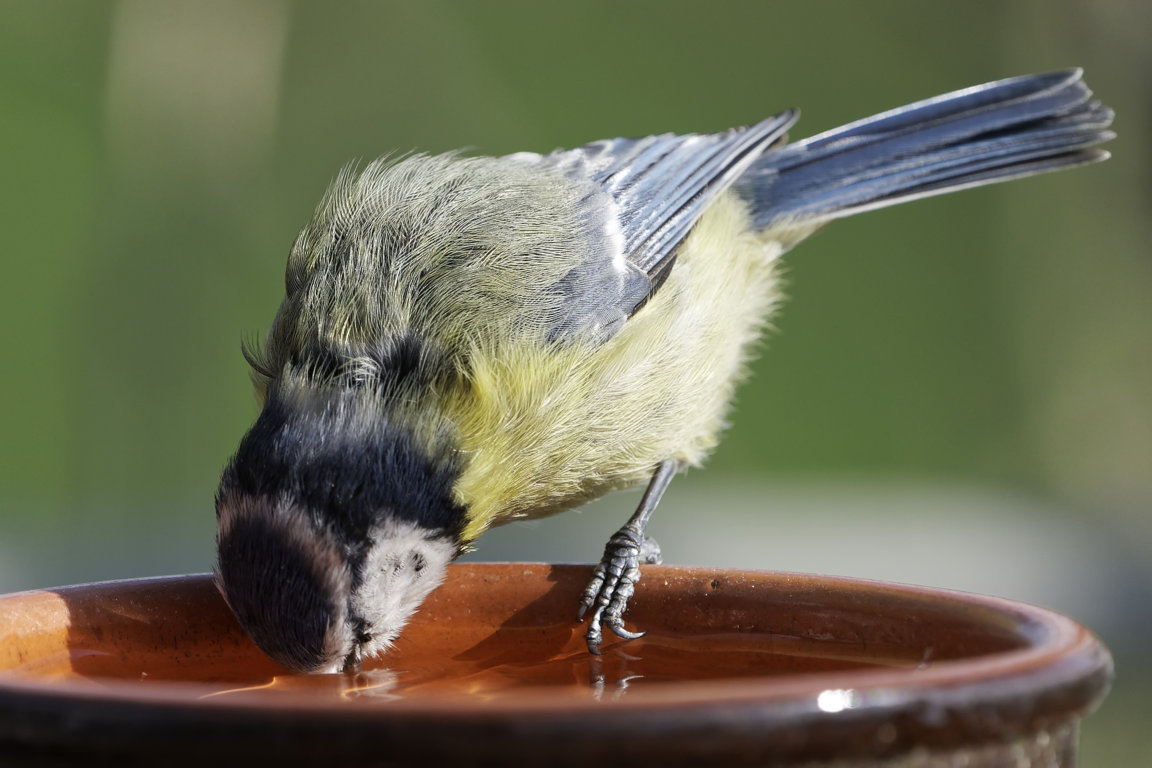 25672226267_99d77a41cf_o (FILEminimizer).jpg