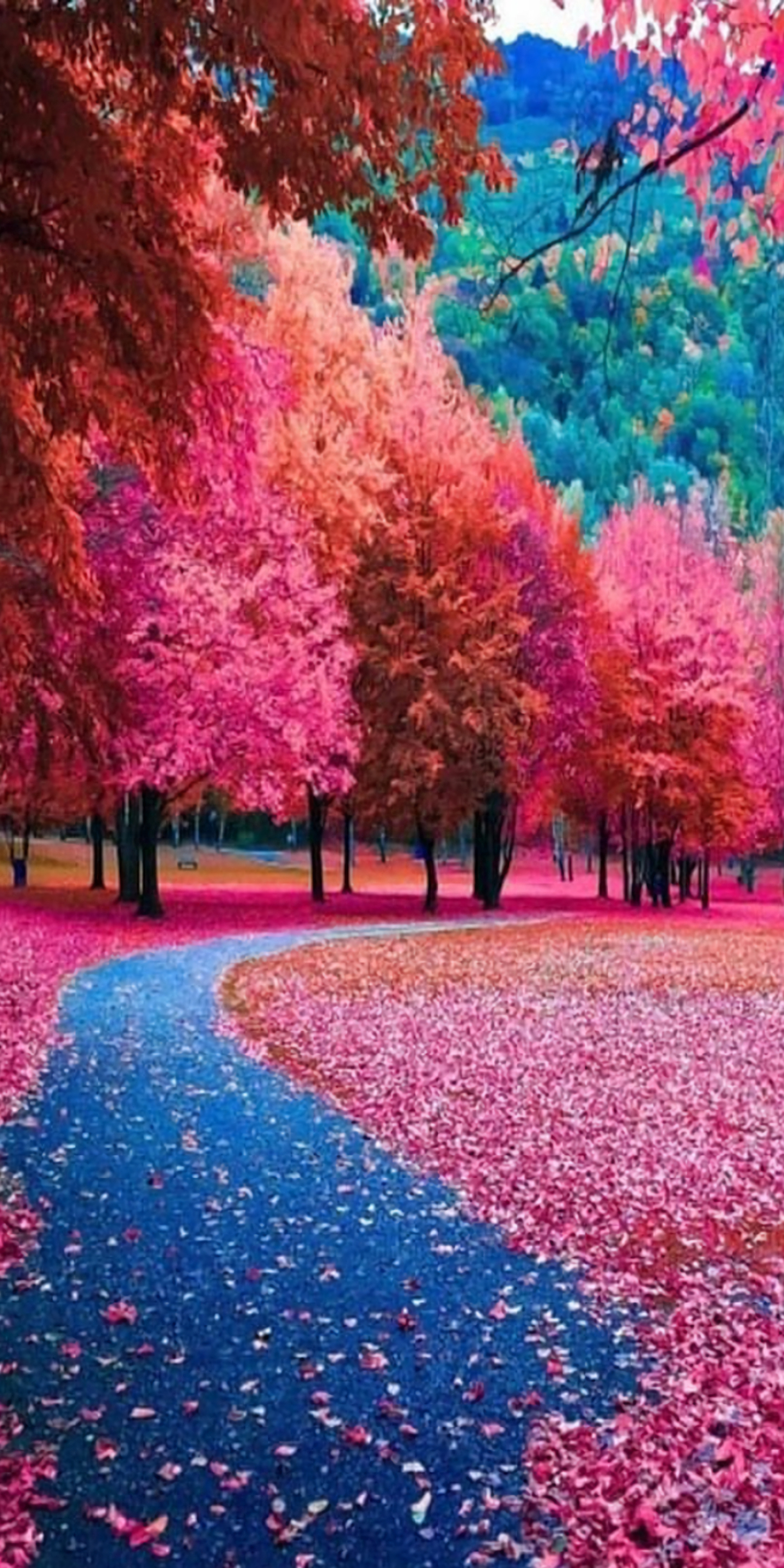 Autumn-wallpaper-11194745.jpg