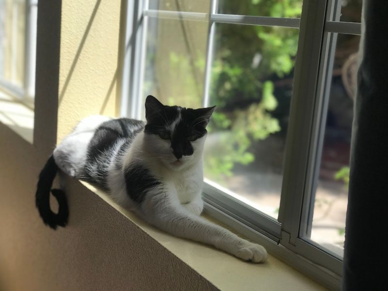 Photo May 20, 14 46 55.jpg