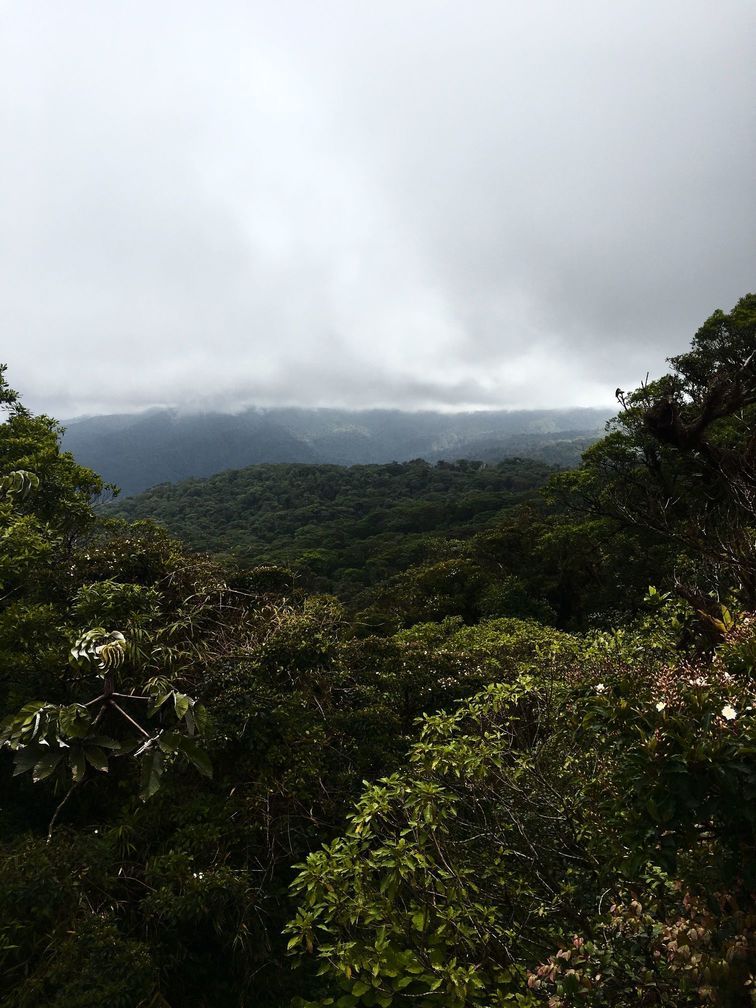 Monteverde5.jpg