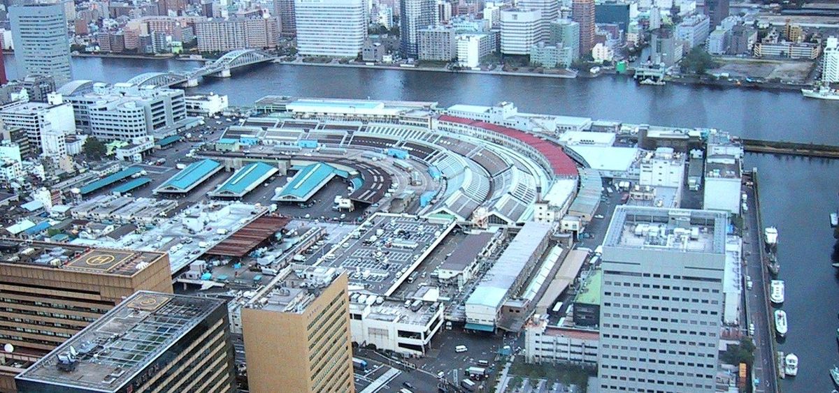 1200px-Tsukiji_as_seen_from_Shiodome.jpg