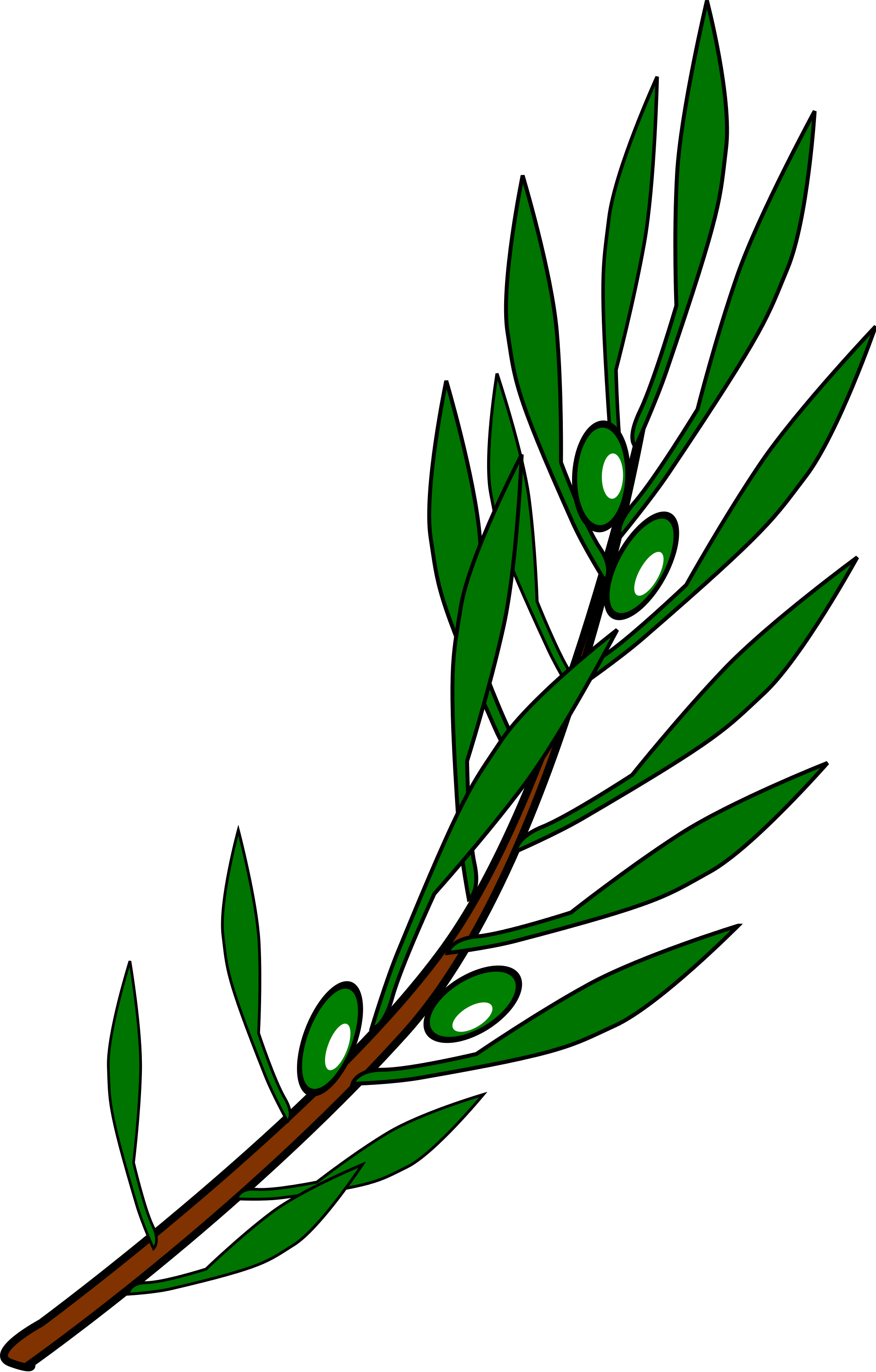 2000px-Olive_branch_drawing.svg.png