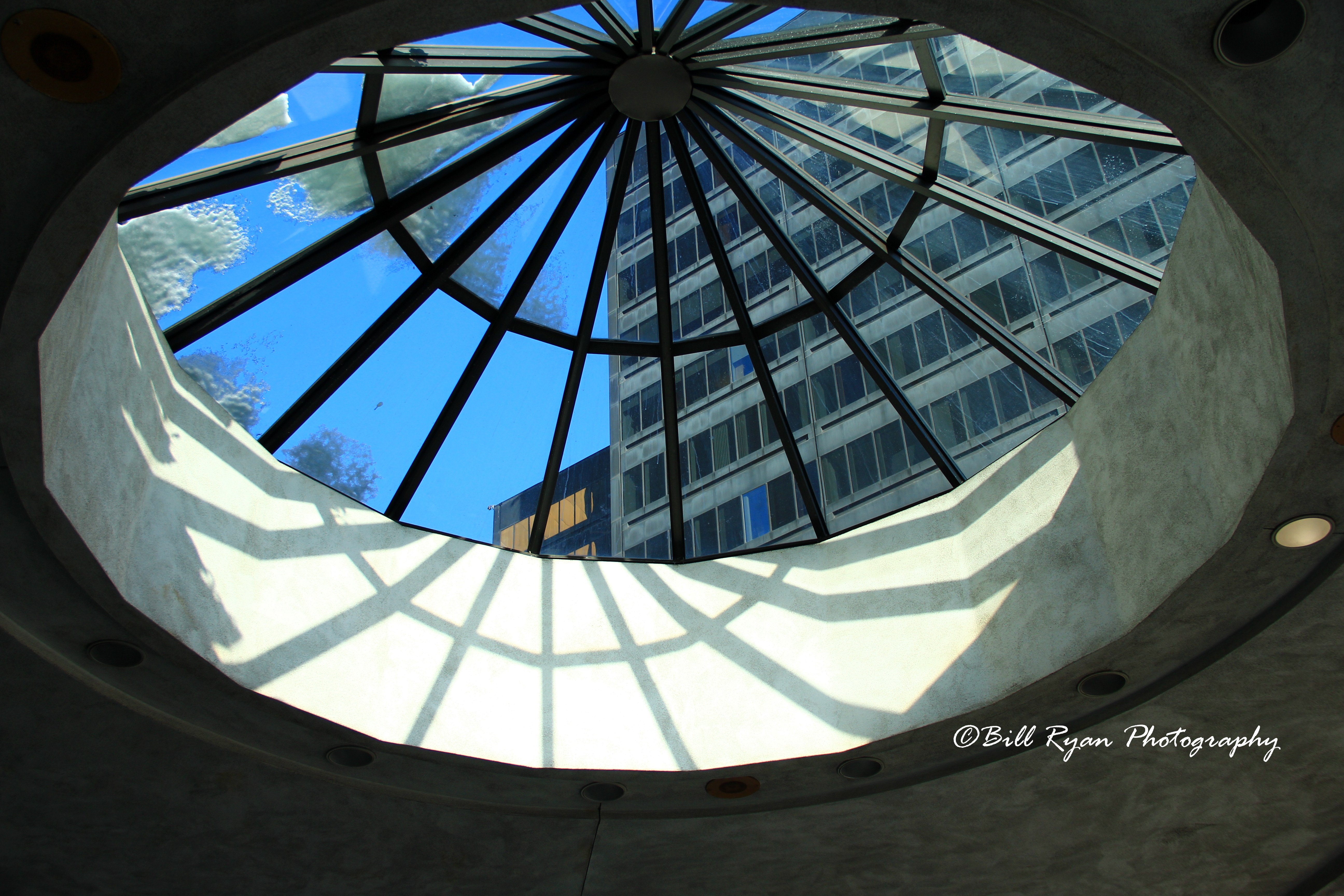 Skylight - IMG_7190.jpg