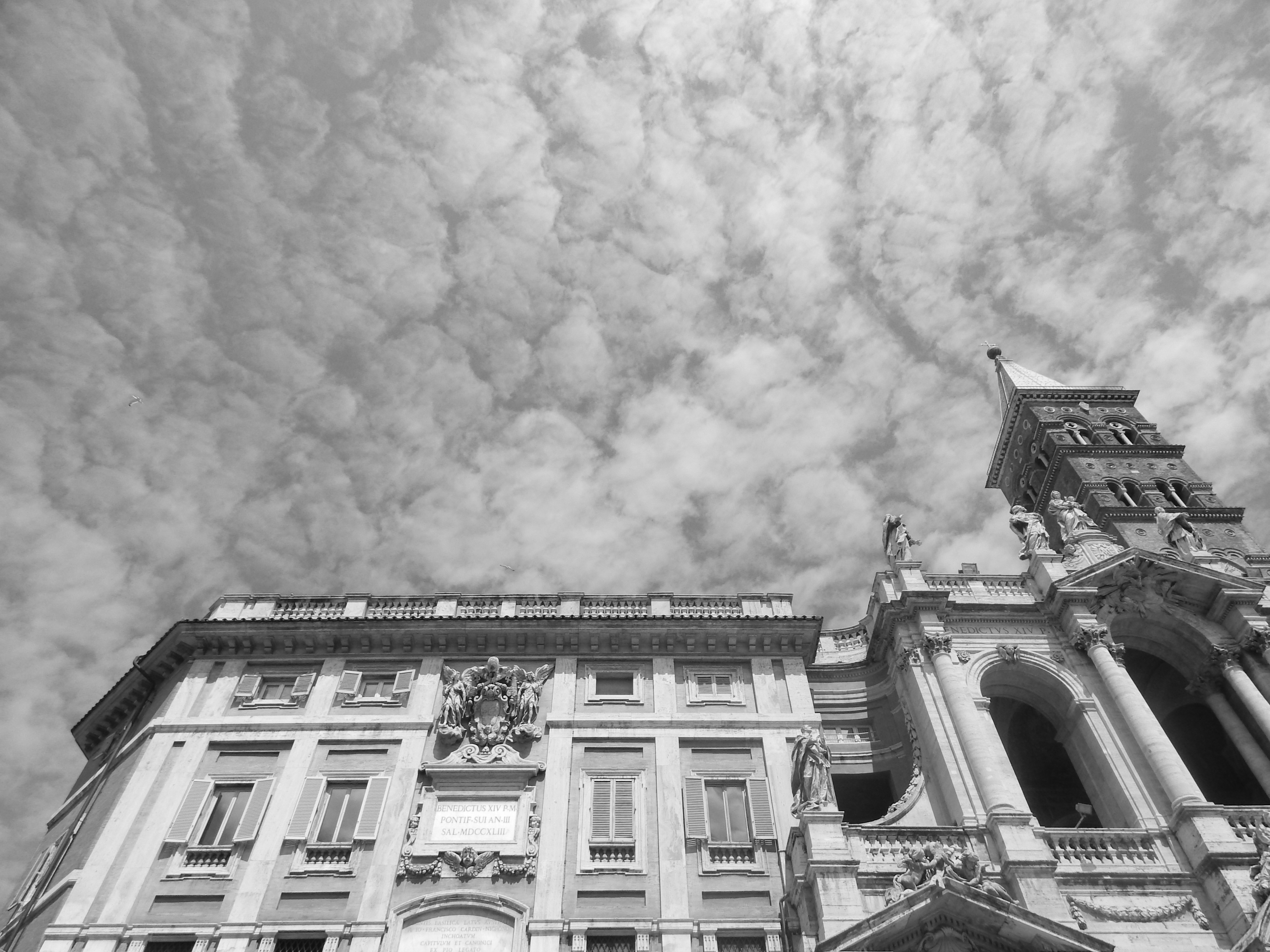DSCN1796df.jpg