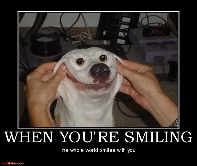 Smile Forced Smile Dog Meme