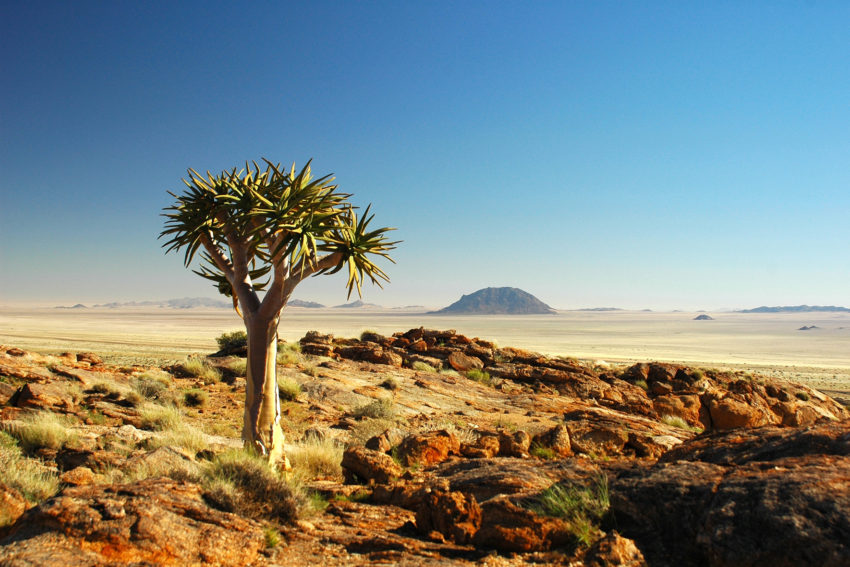 Karoo Desert.jpg