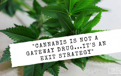 CANNABIS-IS-NOT-A-GATEWAY-DRUG...ITS-AN-EXIT-STRATEGY-400x250.png