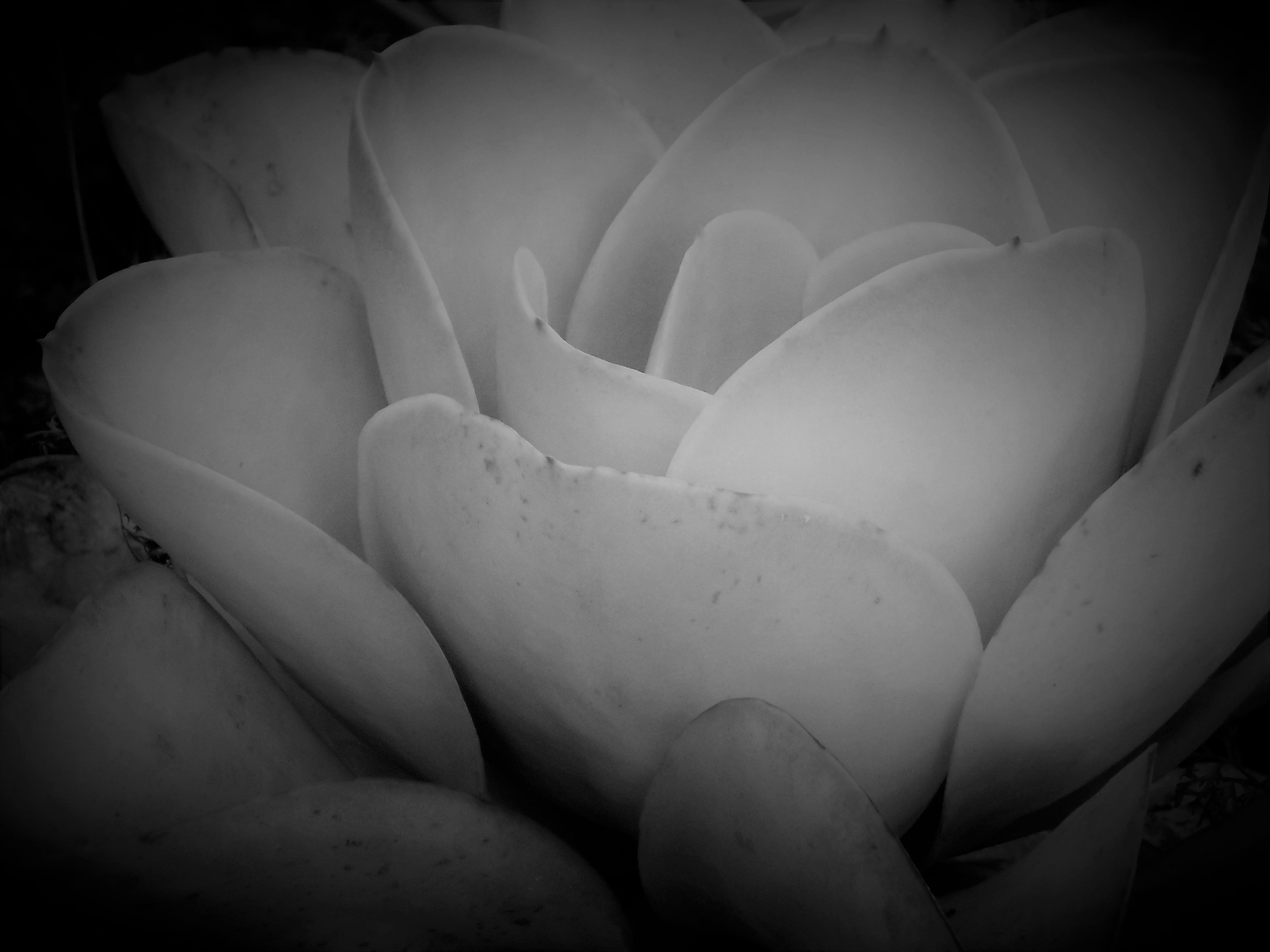 DSCF1230.jpg