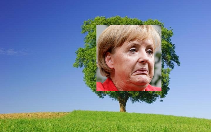 Merkel Tree.jpg