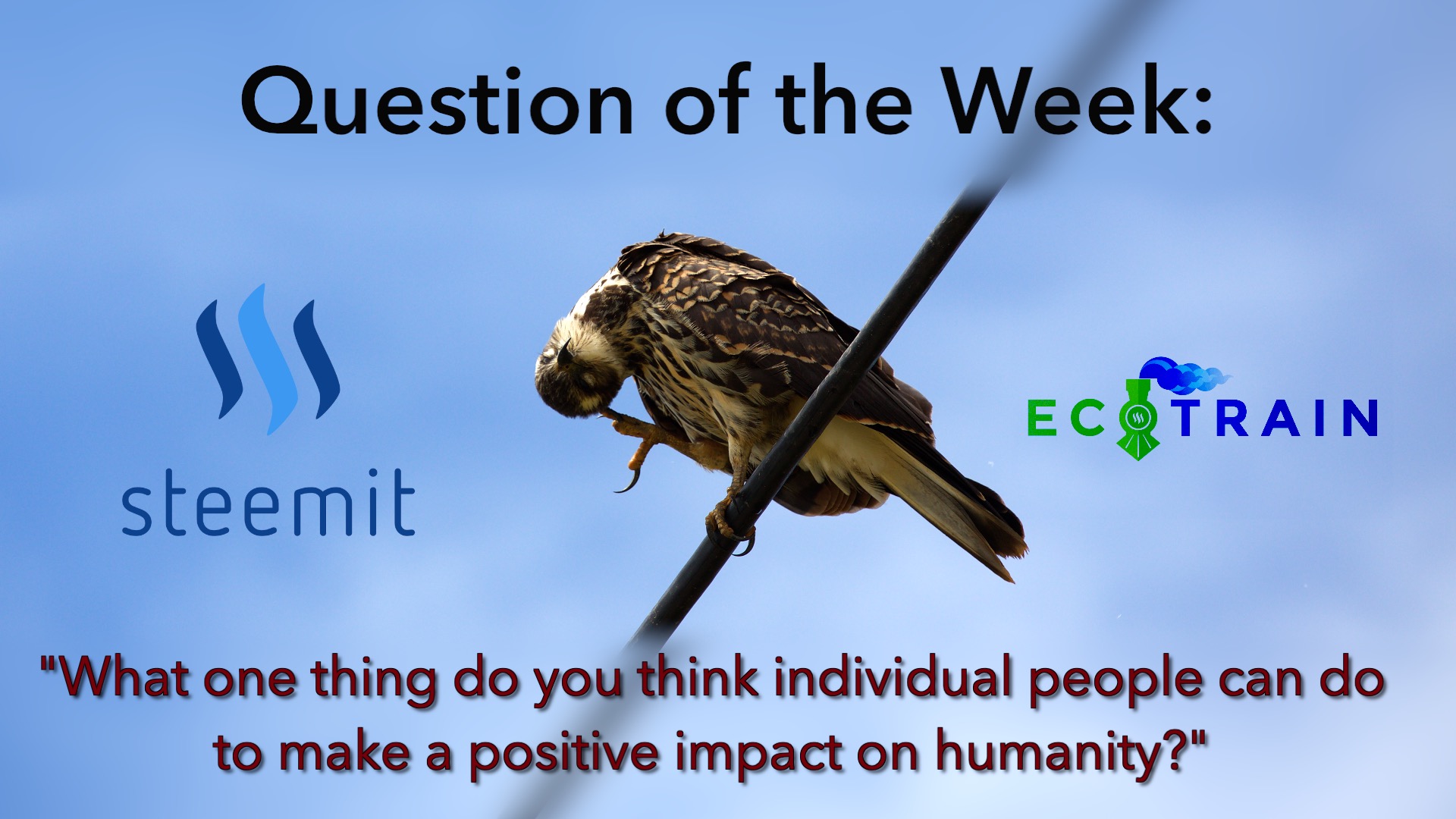 QOTW Meme.jpg