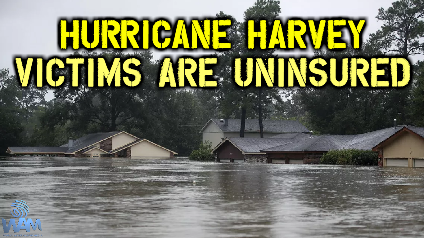 hurricane harvey victims are uninsured thumbnail.png