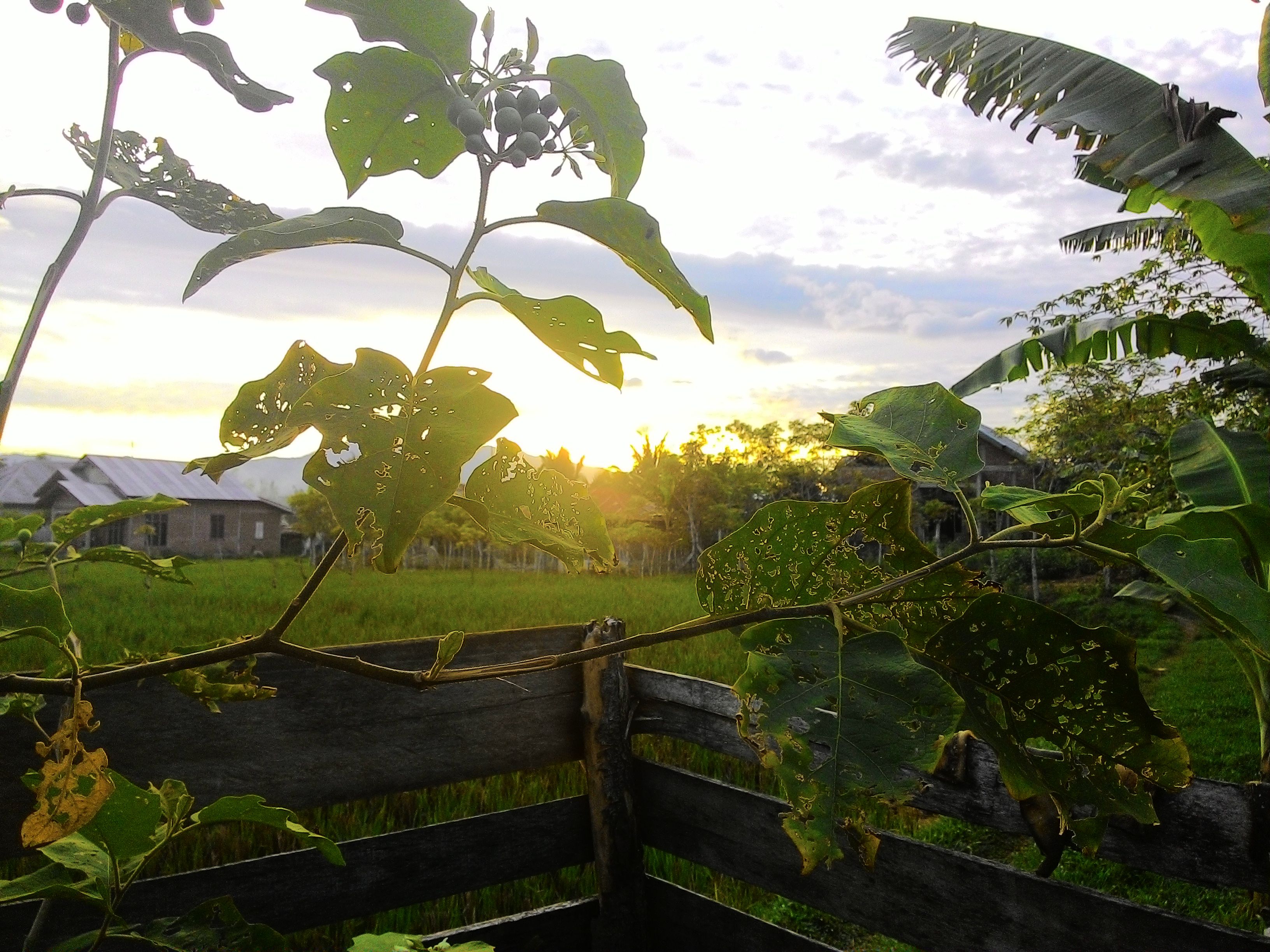 Sunset At Ie Alang Lamghui 2.jpg