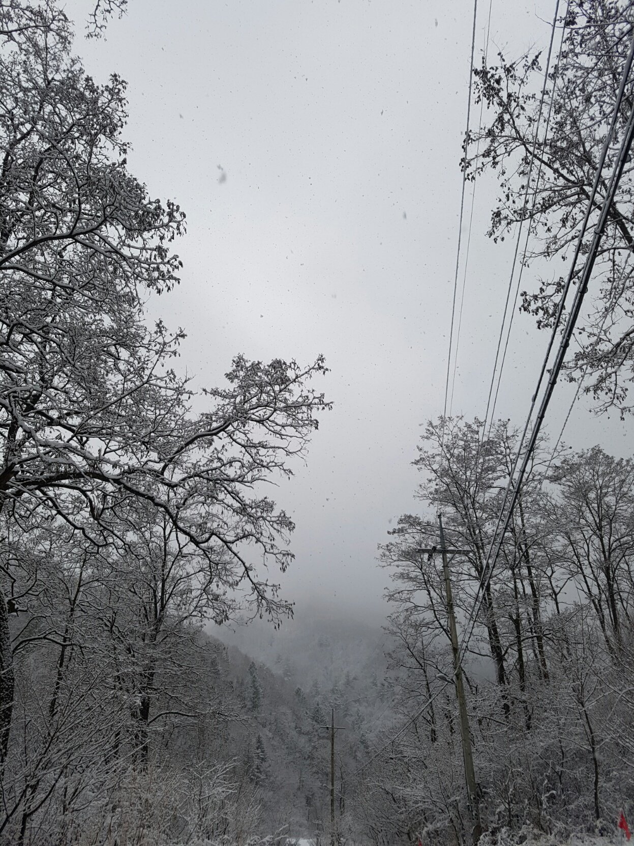 1518061696380.jpg
