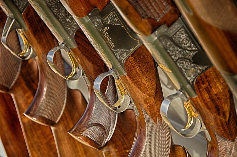 guns-467710_960_720.jpg