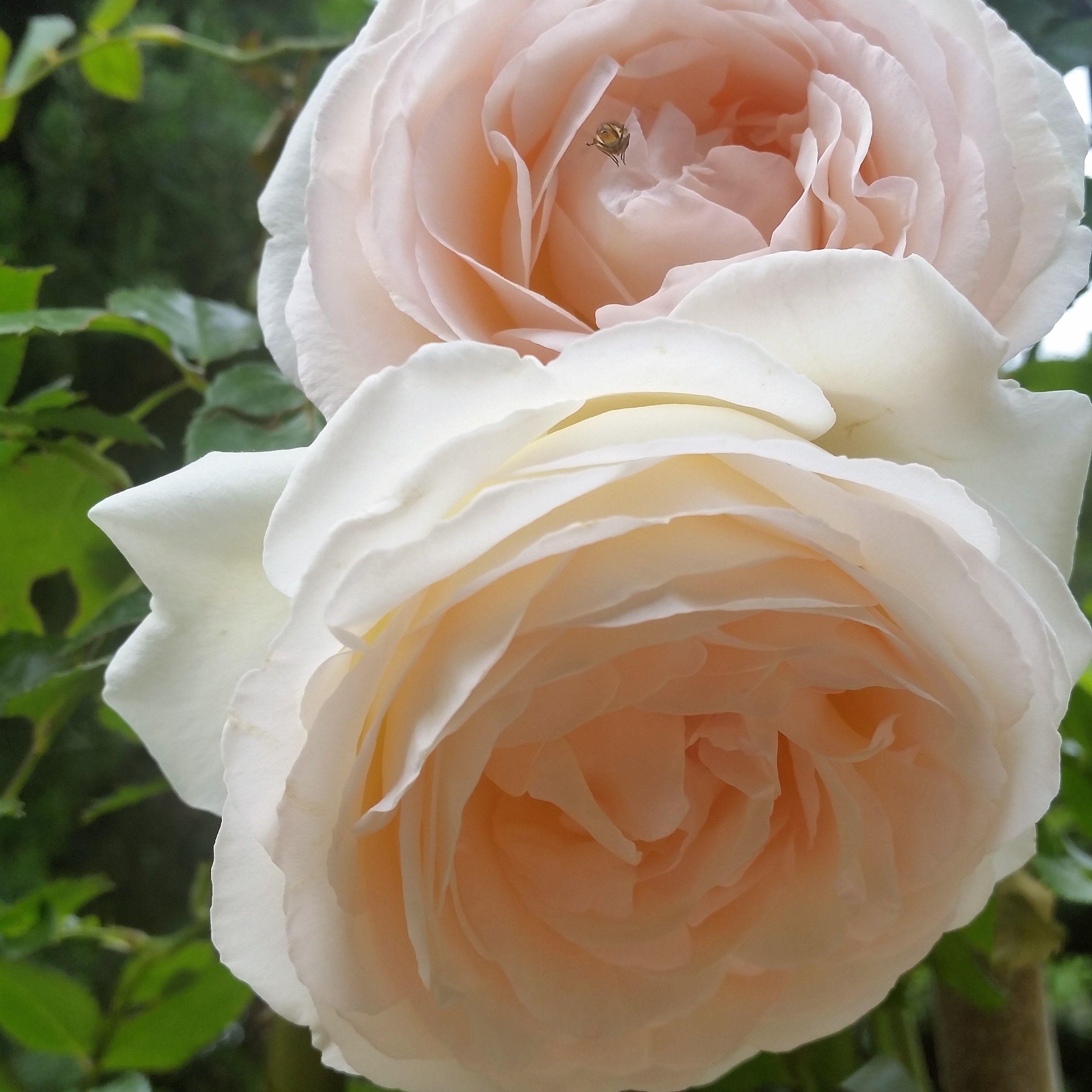 20170506_095018.jpg