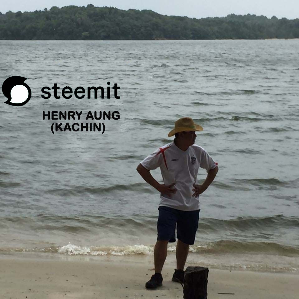 STEMMIT-HENRY.jpg