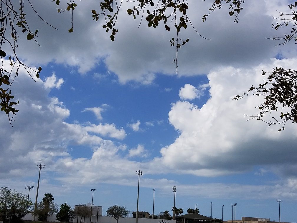 20180222_141050.jpg