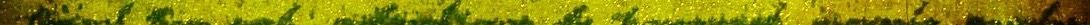 cursive-writing-stars-blend-bright-yellow-dark-overtone-4.jpg