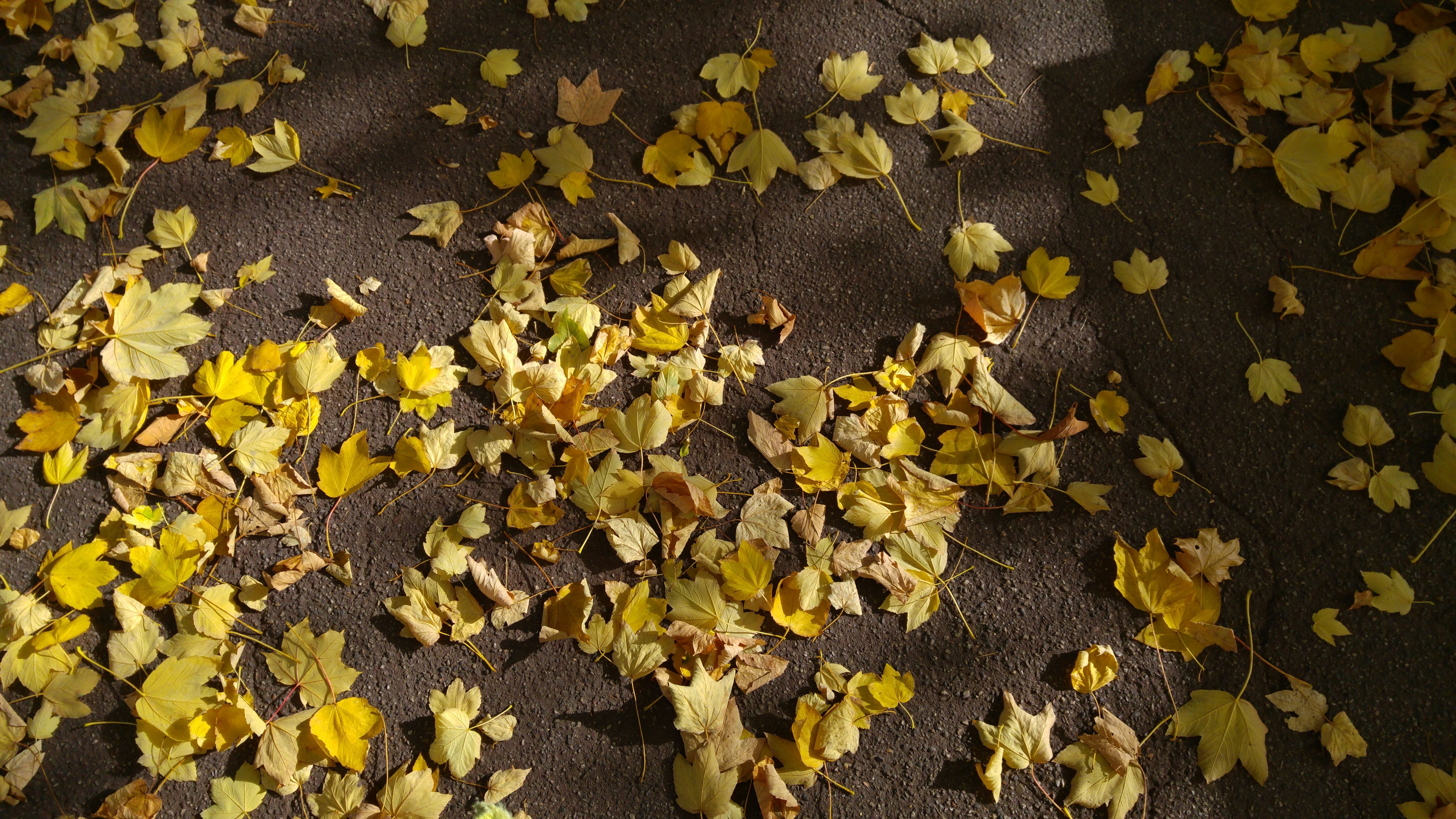 20151022_141018.jpg