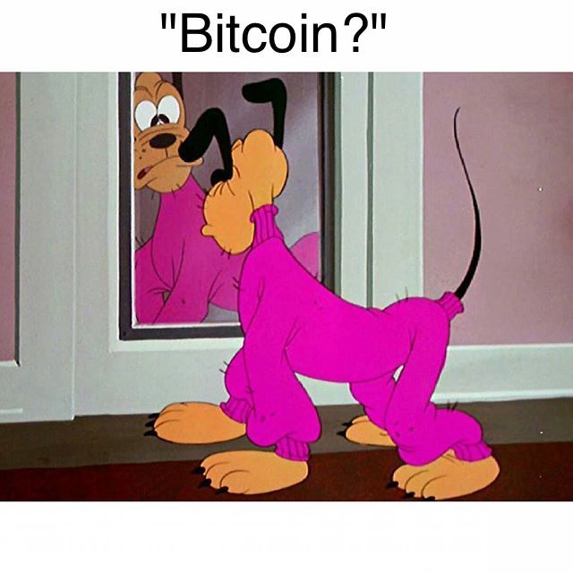 Bitcoin Goofy.jpg