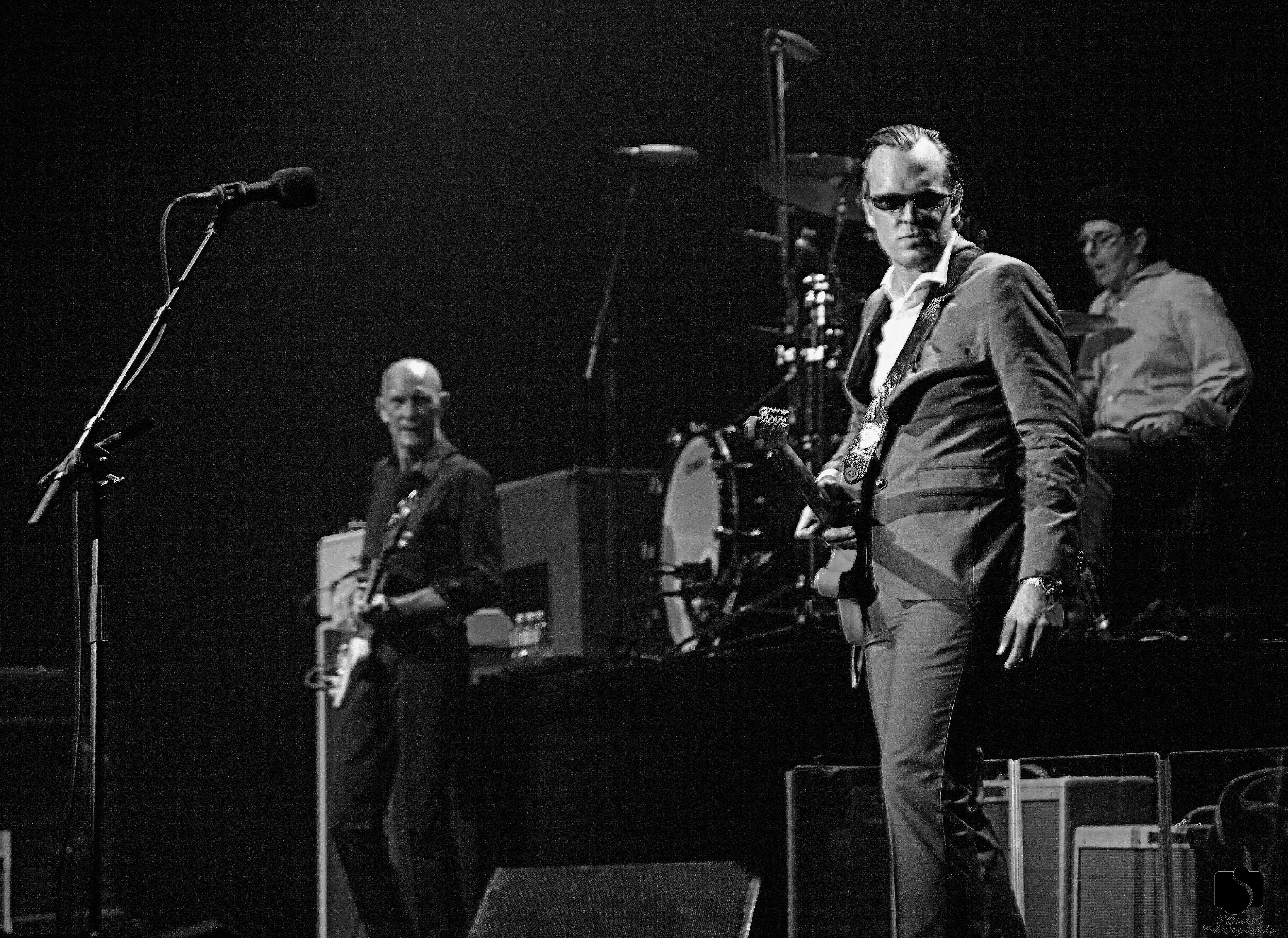 joe bonamassa 726.JPG