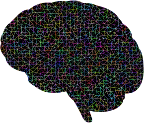 Prismatic-Polygonal-Wireframe-Brain-300px.png