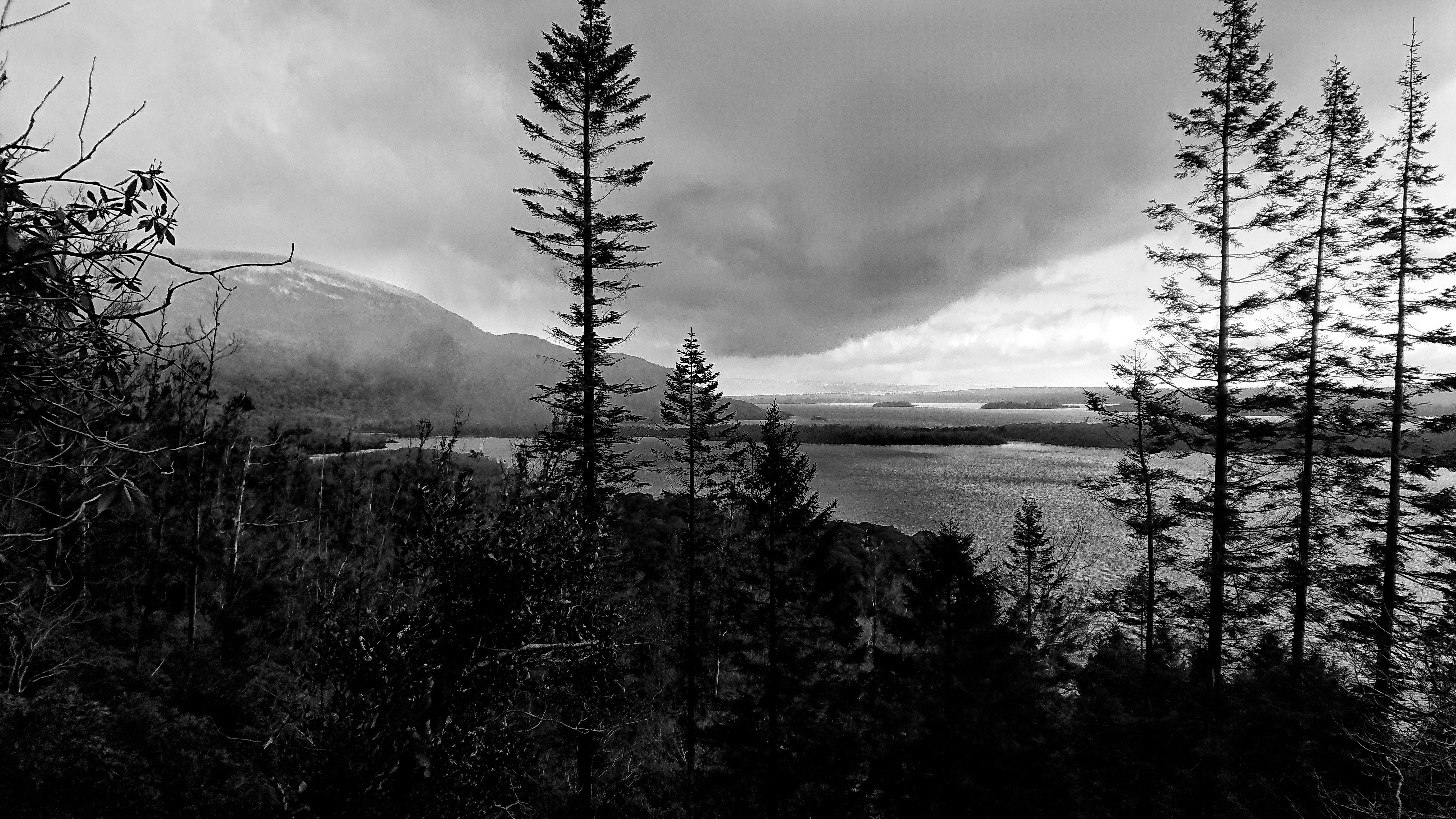 DSC_0788-01.jpeg