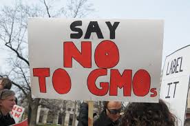 gmo 3.jpg