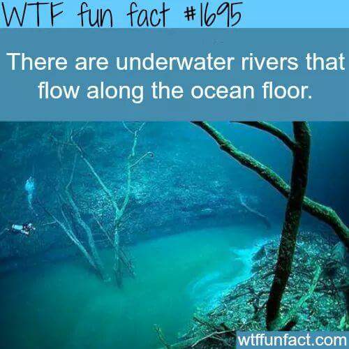 FB_IMG_1511336399230.jpg