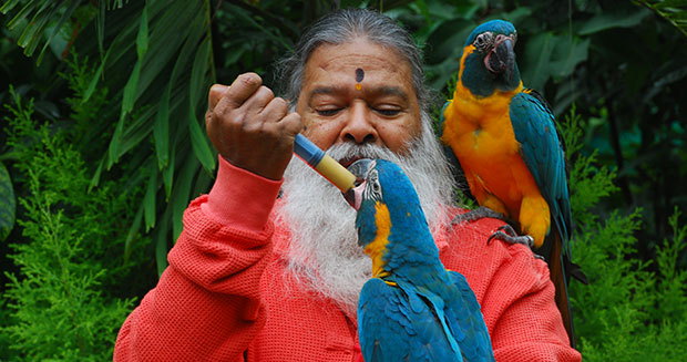 Dr-Swamiji-feeding-a-parrot_tcm25-477001.jpg