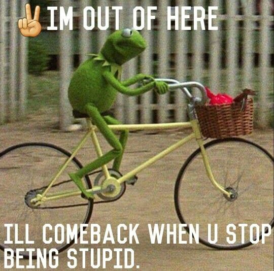 3e73563e78ecbb23028ae34a224c620b--funny-kermit-memes-kermit-the-frog-quotes.jpg