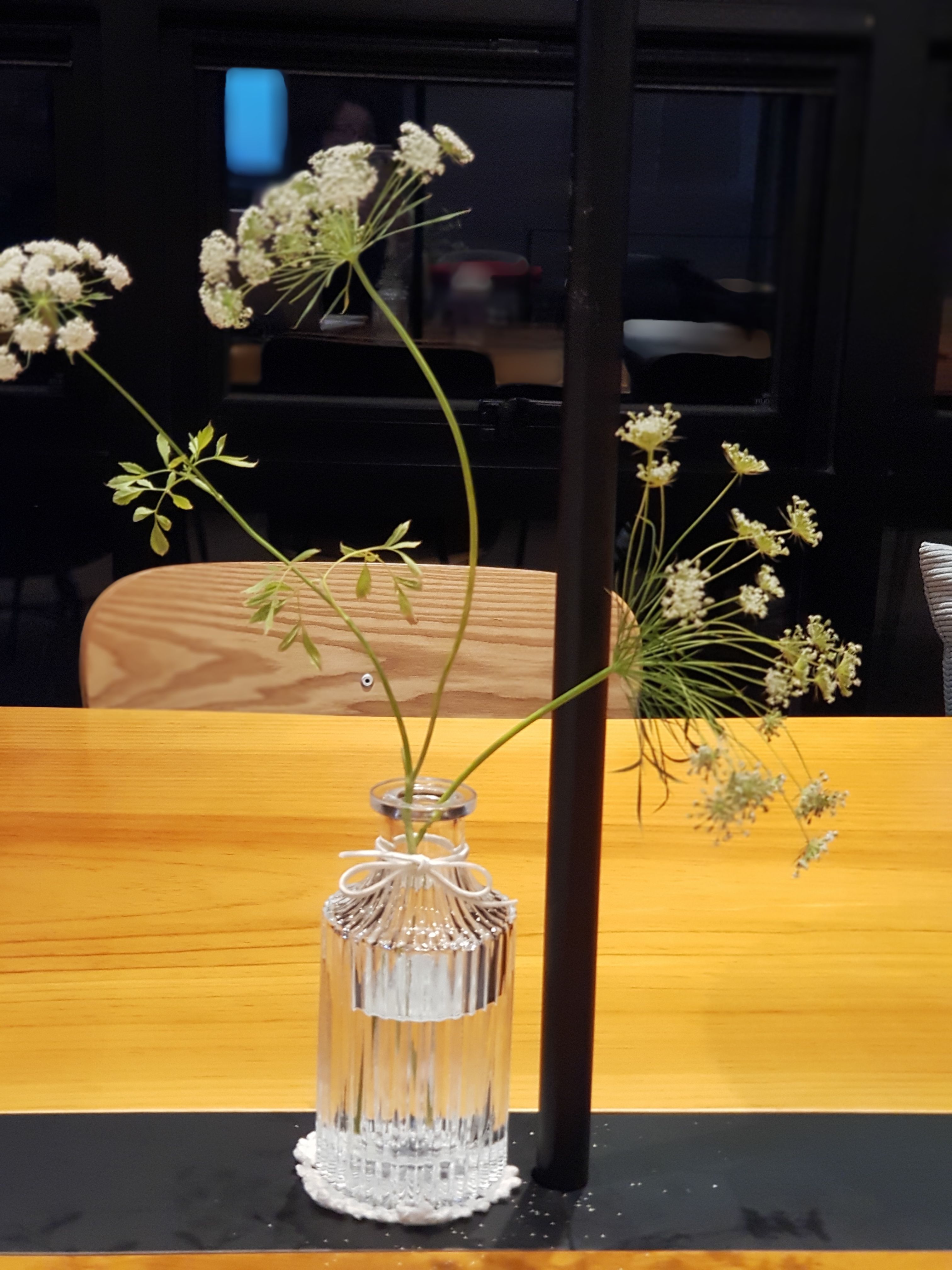 20180301_200954.jpg