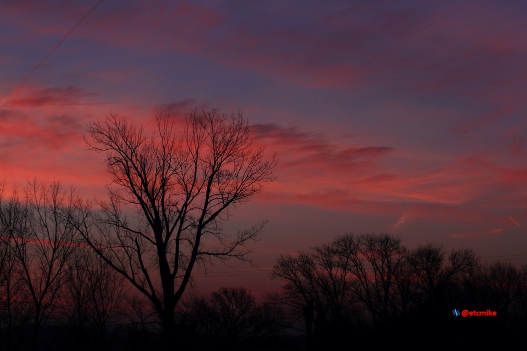 pink sunrise dawn SR15-10.JPG