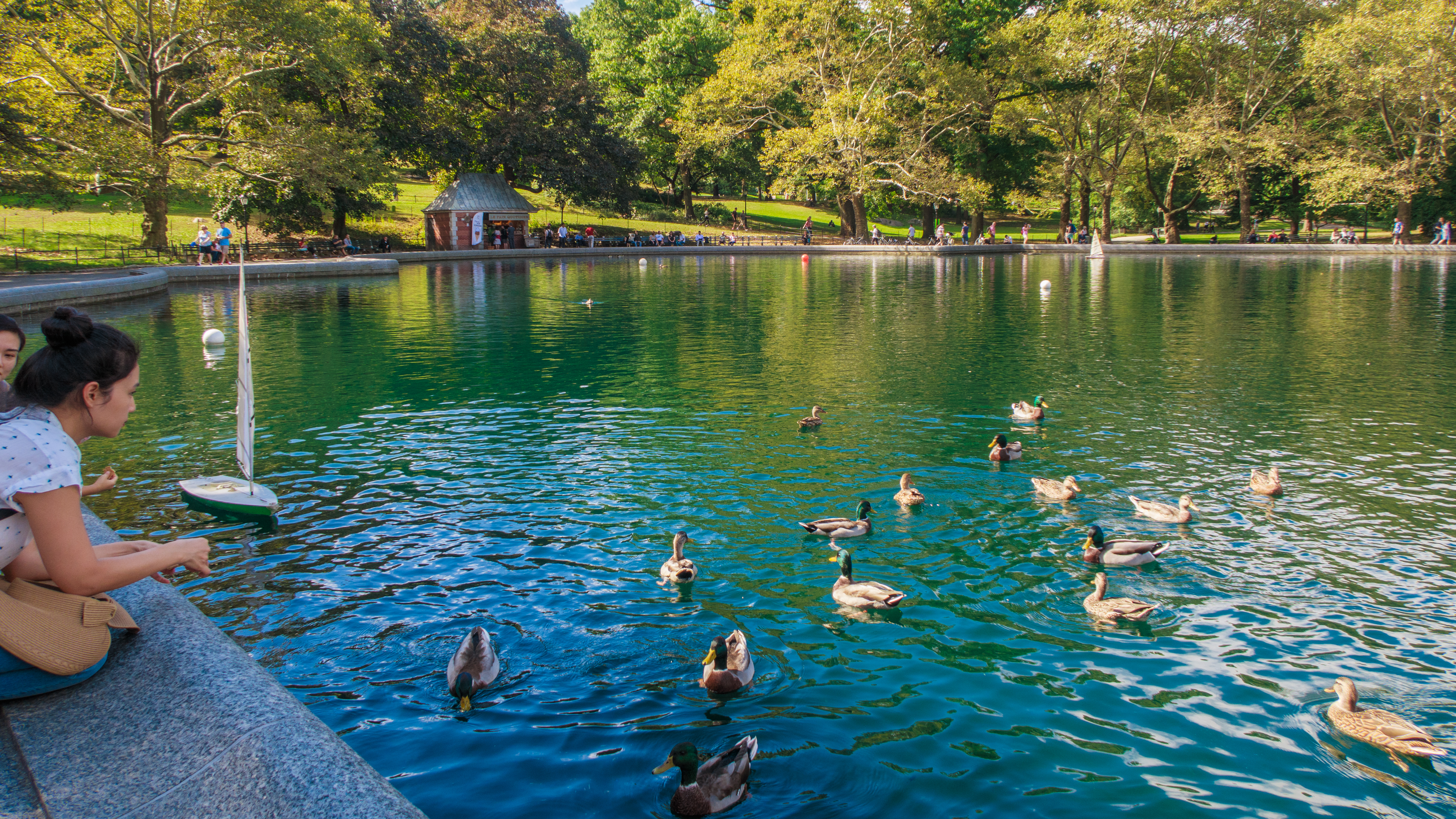 Conservatory Water Central Park NY_2.jpg