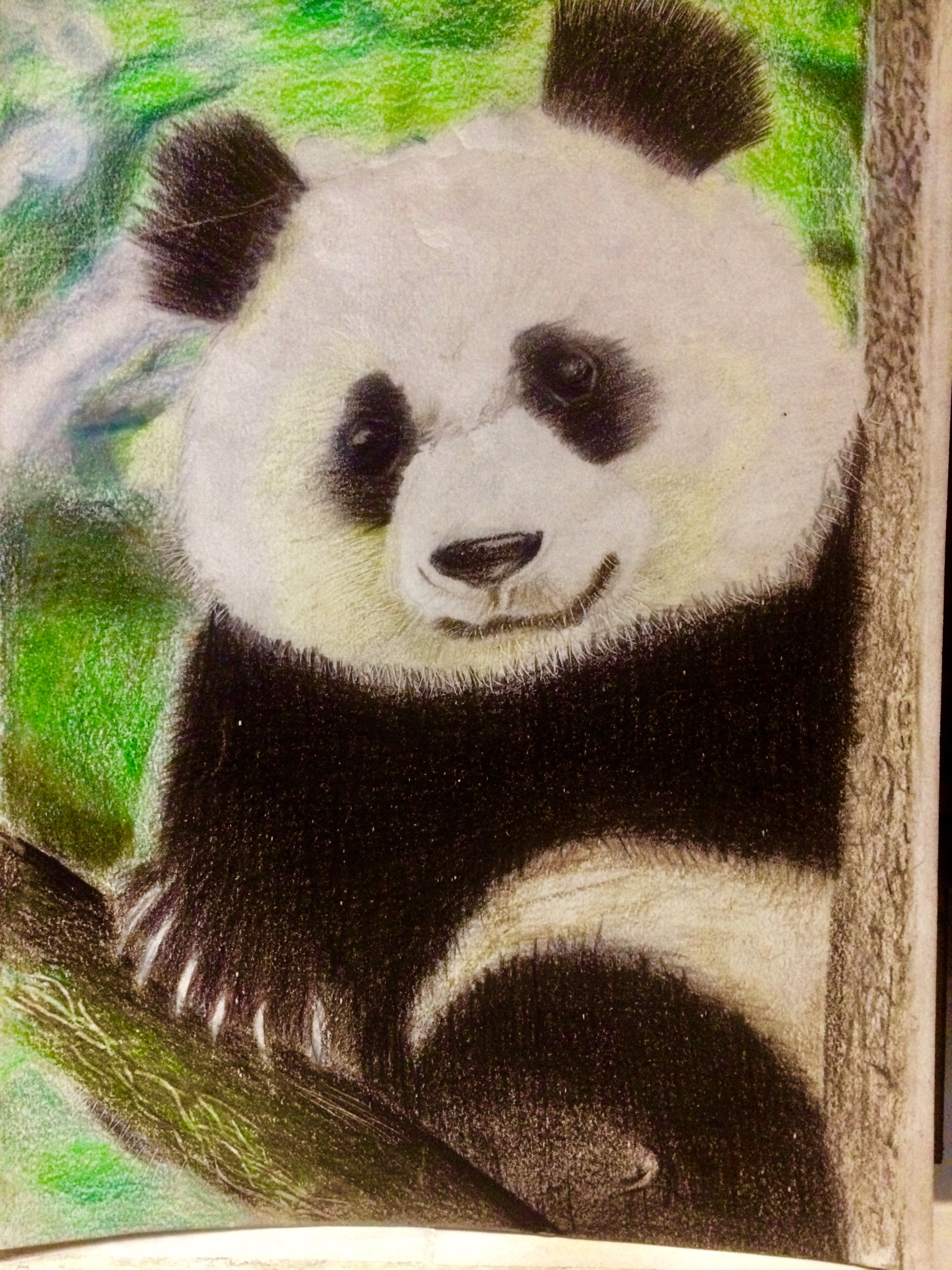 My First Colored Pencil Drawings