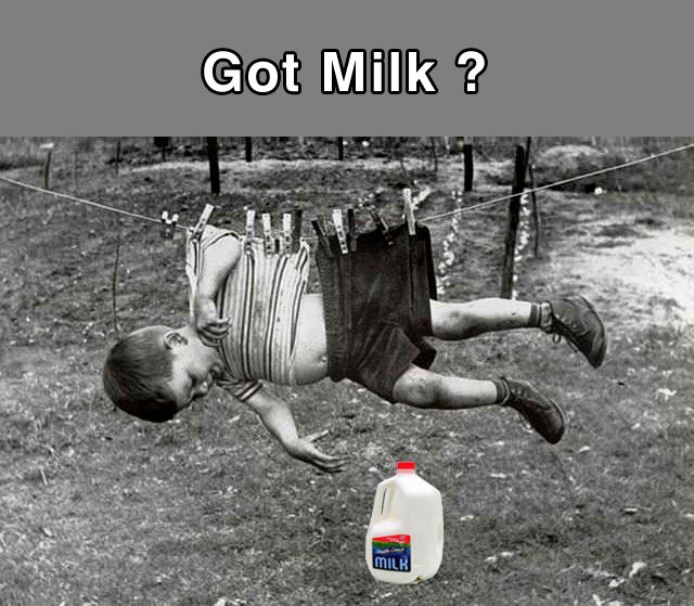 Got Milk2.jpg