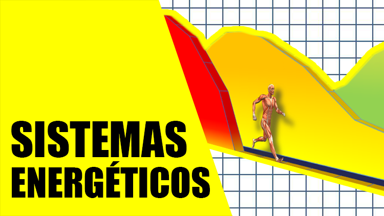 sistemas_energeticos_aerobico_anaerobico-entrenador_personal_domicilio_madrid_online.png