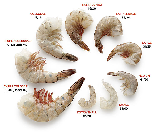 shrimp-sizes.jpg