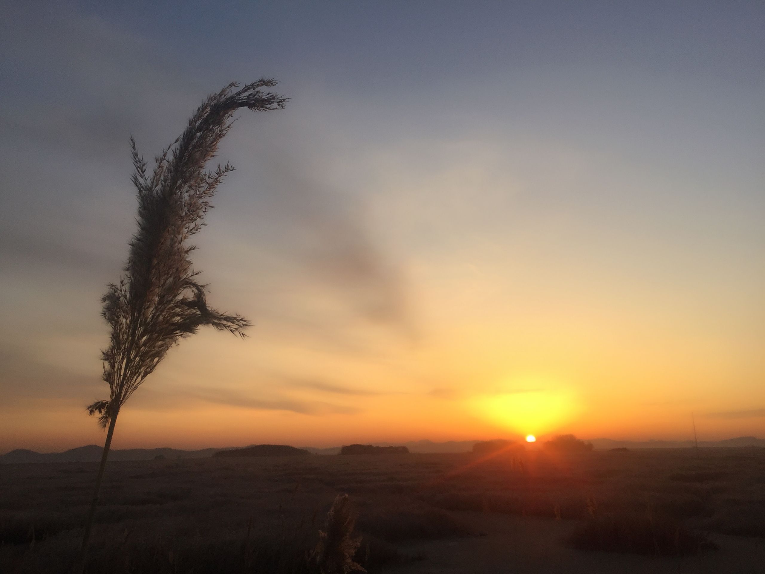 C49C4AD5-64B9-4735-ACC9-518A669DE457.jpeg