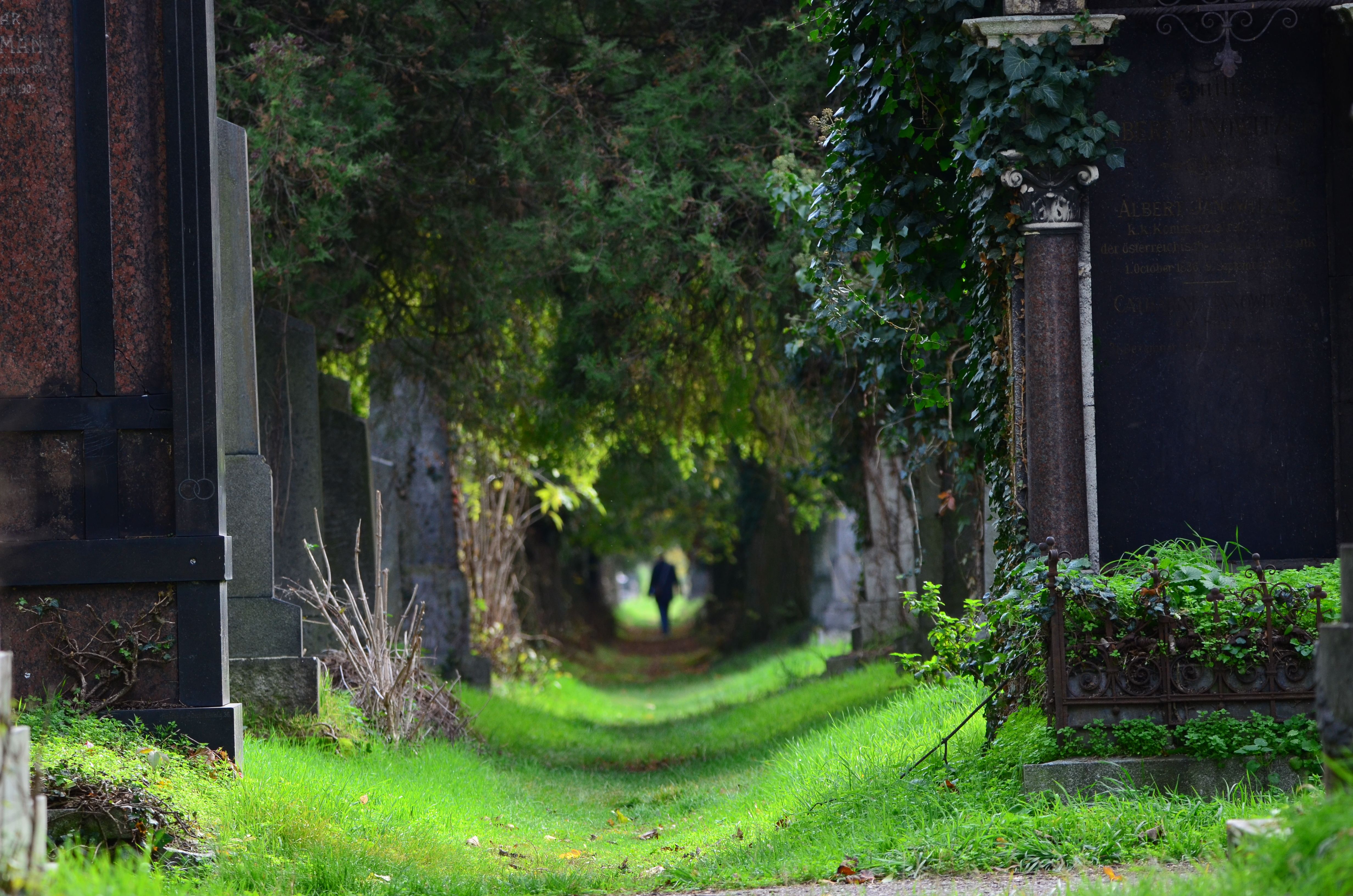 #2 Zentralfriedhof Cemetry