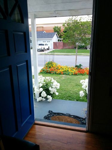 front door looking out.jpg