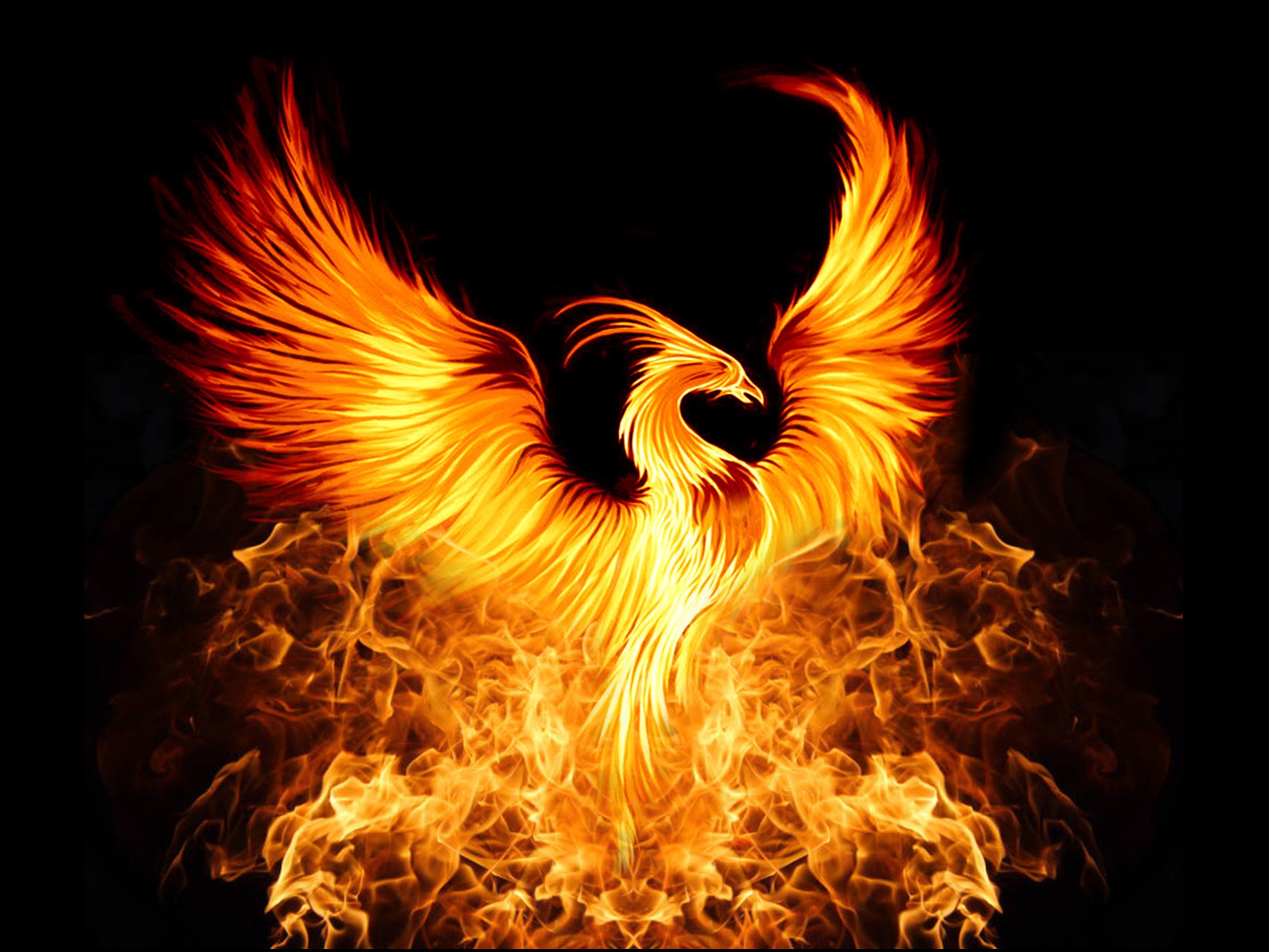 The phoenix