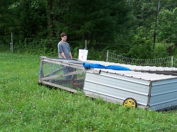 Devin moving Salatin pen2 crop June 10.jpg