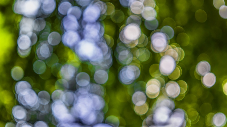 bokeh-2552956_960_720.jpg