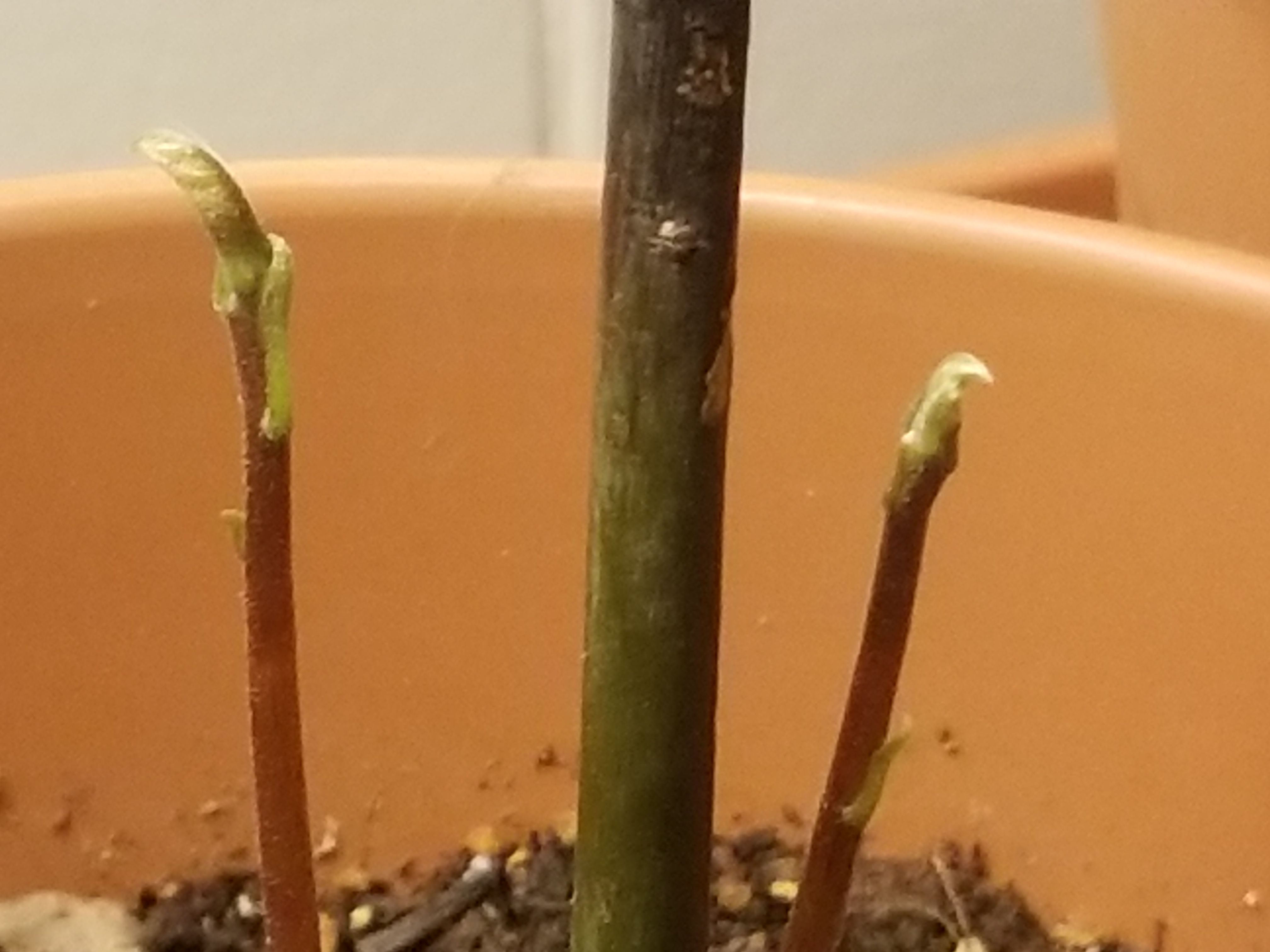 20180208_221424.jpg