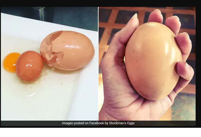Egg Inside Egg.png