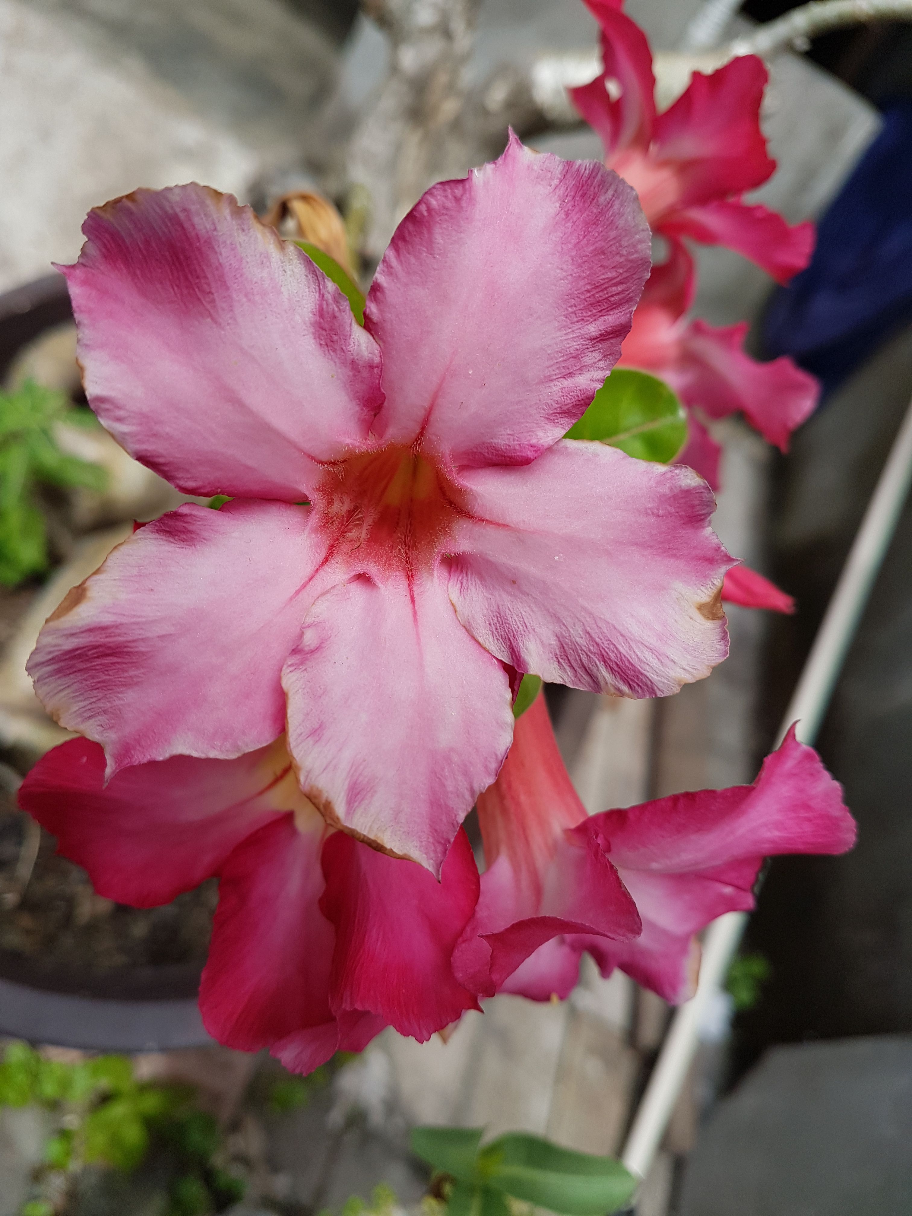 20170827_104230.jpg